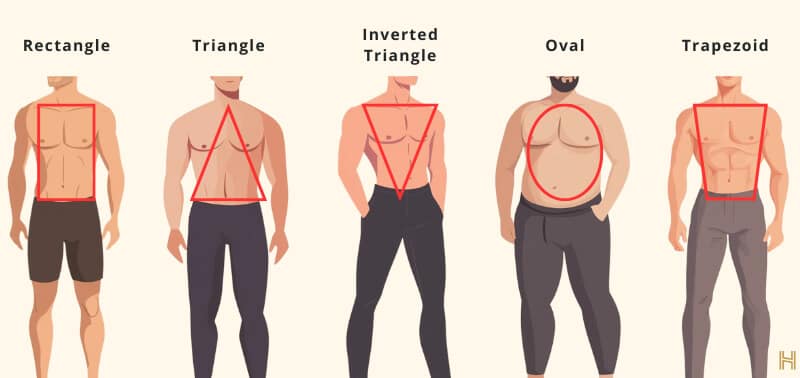 5 male body types